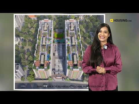 Palm Town Project Video 1