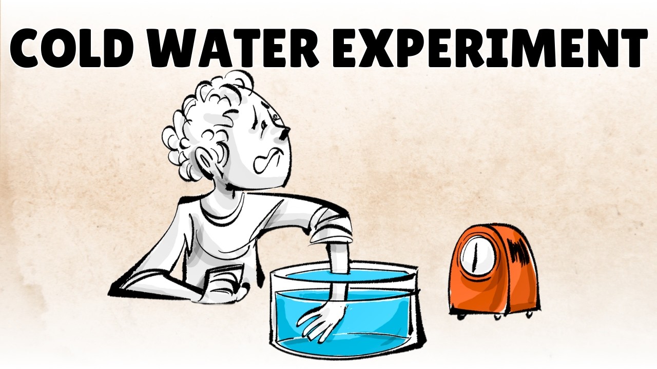 The Peak End Rule: What You Actually Remember From a Experience