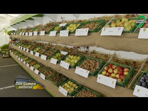 Toamna horticolă -  Ziua recoltei la București