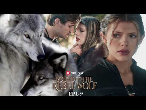 Bound to the Rebel Wolf EP1-9 | New Release | ReelShort