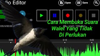Download lagu Cara Membuka/Membuang Suara Walet Yang Tidak Bagus Melalui Hp Android mp3