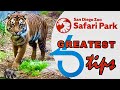 SAN DIEGO ZOO SAFARI PARK CALIFORNIA Greatest Tips Tour To Make Your Zoo Adventure THE BEST