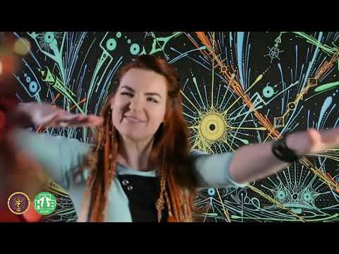 Z-CAT New Year's Eve stream for LSD
