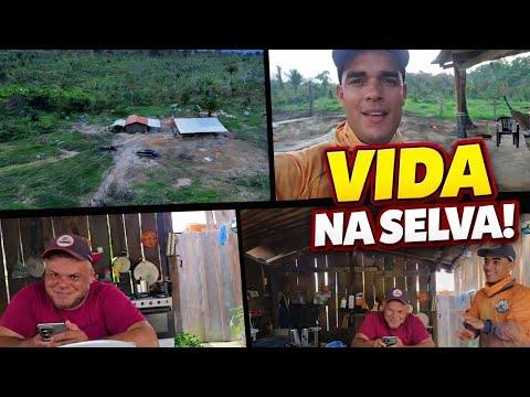 We installed MATAJUNTA and I made a new WINDOW in the Frog's Den.