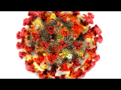 18 Americans With Coronavirus Linked To River Nile Cruise Ship