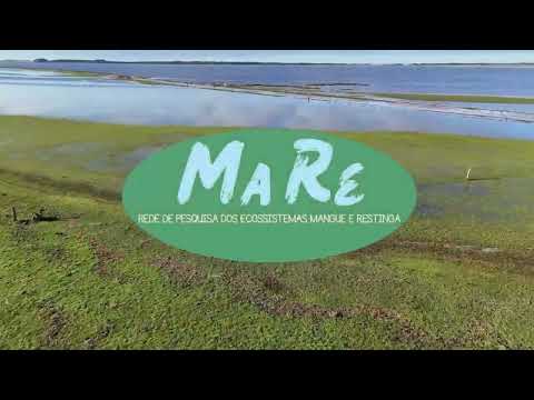 Restinga do litoral do Rio Grande do Sul - MaRe
