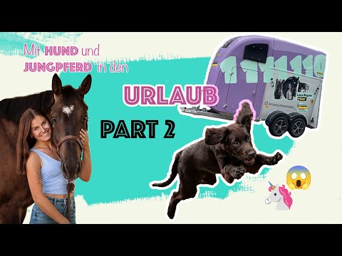 Dori haut ab! 😱 Mit Pferd und Hund im Urlaub Part 2 🥰
