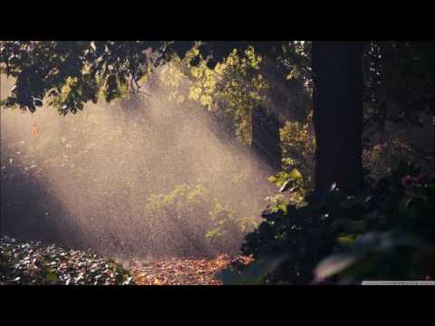 Liam Bailey - Summer Rain (Mr Mahous & Bastido Remix)
