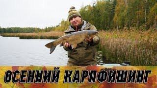 Ссылка