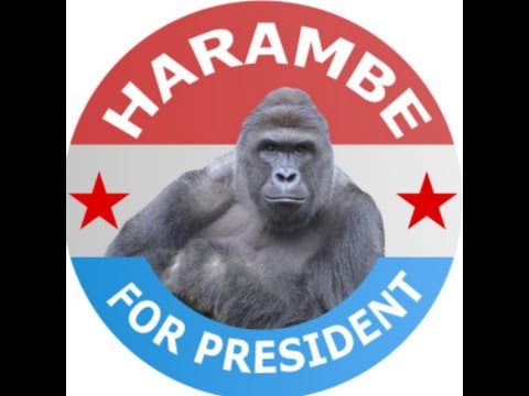 Dan Pablo and Lexxy2k screwing you up!