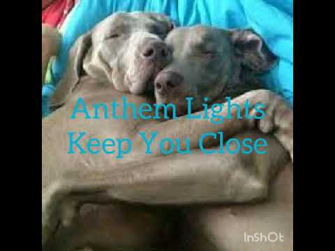Keep You Close