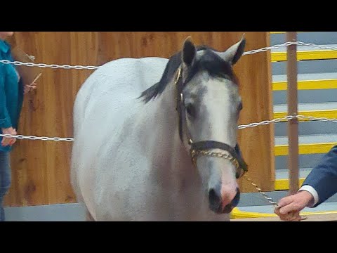 La genética de Big Daddy Cartel.