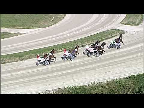 Napoli Trotto 08/01/2023 - prova di qualifica