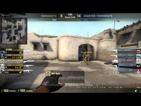 CS:GO Mad Bob