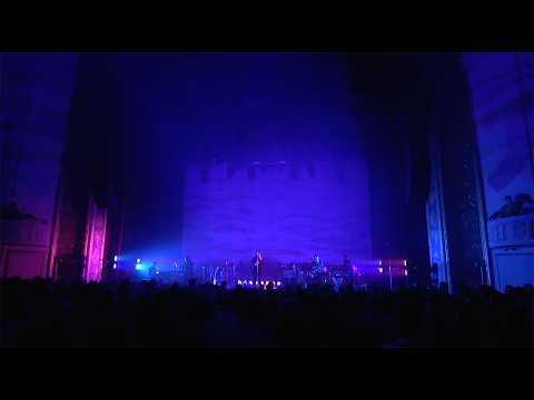 Birdie - Father John Misty