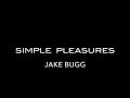 Simple Pleasures Lyric Video // Jake Bugg - HD