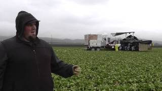 preview picture of video 'Live from the Fields: Salinas Valley Rain. Salinas, CA'