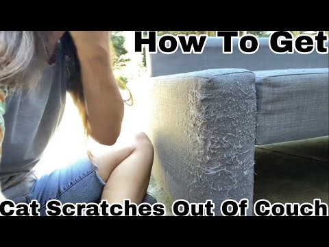 How To Get Cat Scratches Out Of A Couch