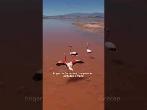 ¿Marte en Catamarca? 😱