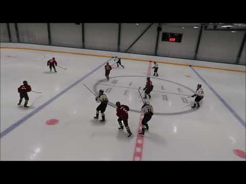 Karhu-kissat C 03 vs Blues blue, 24.11.2018 (4-2)