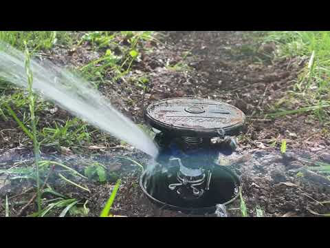 Rainbird Maxi Paw Pop Up Sprinkler