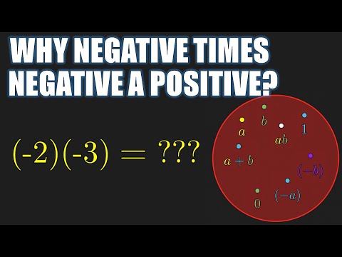 Why Negative Times Negative is Positive - Definition of Ring | Ring Theory E1