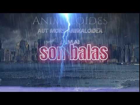 Animaloides - Aut Mors Animaloidea (A.M.A)