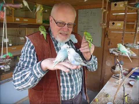 2018 04 26 Der Wellifluestererfilm des Tages