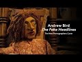 Andrew Bird - "The Fake Headlines" (The New Pornographers Cover) (Official Music Video)