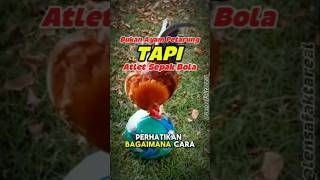 Download lagu Pasti Gak Percaya!! Ayam Atlet Sepak Bola #shortvideo #shortviral #foryoupage mp3 Download lagu Pasti Gak Percaya!! Ayam Atlet Sepak Bola #shortvideo #shortviral #foryoupage mp3