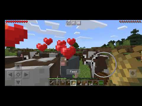 We make a store room minecraft part- 6