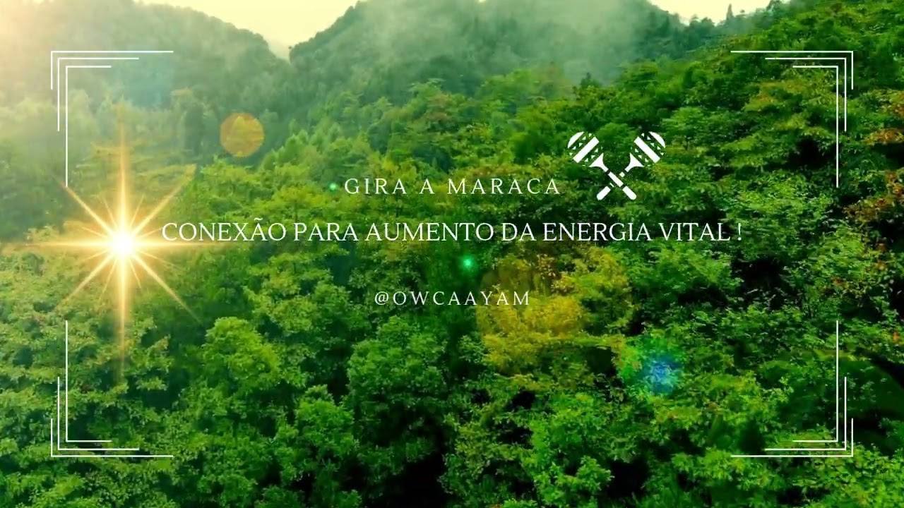 Gira a Maraca 15- Quando tentamos ver o futuro, esquecemos de viver o presente