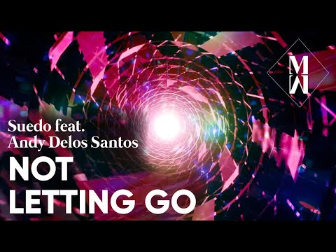 Not Letting Go - Suedo feat. Andy Delos Santos