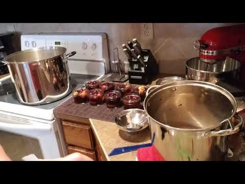 download lagu mp3 mp4 Canned Pickled Cherries, download lagu Canned Pickled Cherries gratis, unduh video klip Canned Pickled Cherries