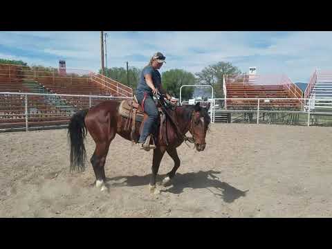 Sanpete Horse Training: Foundation for a spin