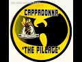 Cappadonna - Slang Editorial full version (Produced by True Master) [CD QUALITY]