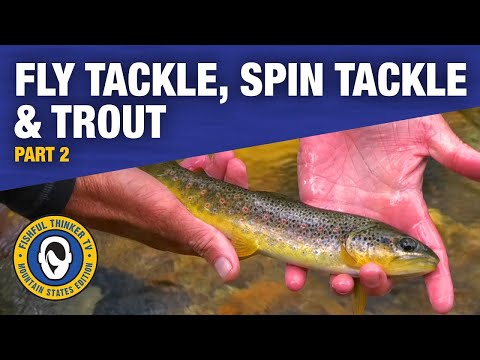 Compare and Contrast - Fly vs Spin Part 2/3  (fly fishing, spin fishing, trout)