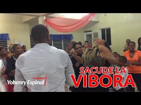 SHAKE THE VIPER - YOHENRY ESPINAL