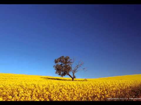 DD synthesis - Ljubov i smrt