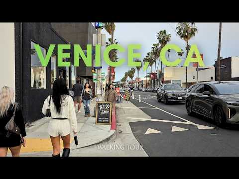 Abbot Kinney City Guide | Vibepedia