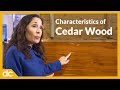 Cedar Wood Characteristics Should You Buy Cedar Furniture