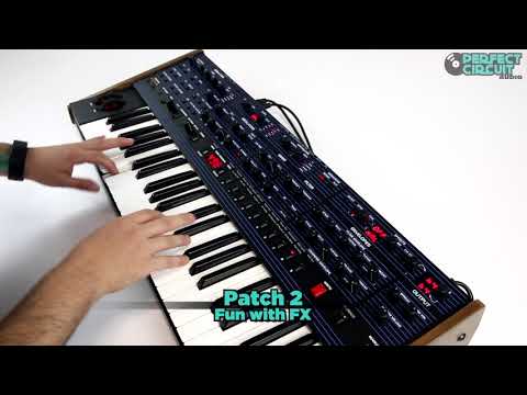 Dave Smith Instruments OB-6 Analog Synthesizer - Sound Design Demo #1