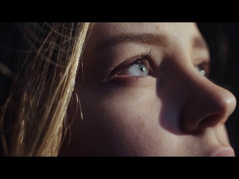 Cogumelo do Tempo – Ganhar tempo é ganhar vida