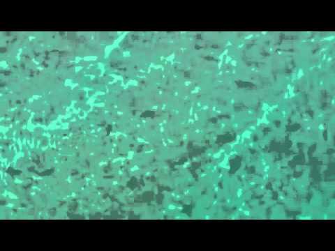 Sharks close Florida beaches