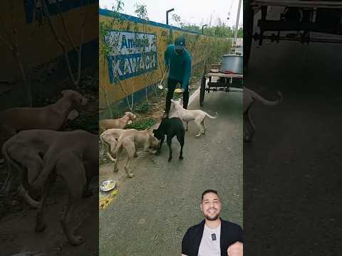 إرحمو من في الأرض يرحمكم من في السماء