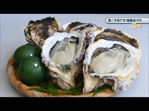 2025年8月2日(土)放送 「夏こそ旬です！細島岩ガキ」