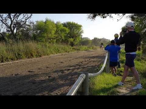 QUEEN SUPREME IS PREPPED AND READY