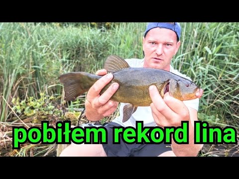 I broke the record of the tench 😀 I lost the keys to WSK #fish