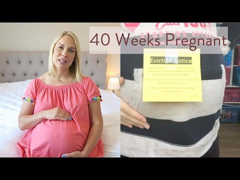 40 Weeks Pregnant: What You Need To Know - Channel Mum