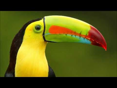 Tijax/Etznab/Tecpatl